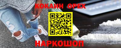 крисы Кулебаки