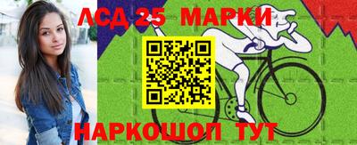 крисы Кулебаки
