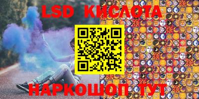 крисы Кулебаки