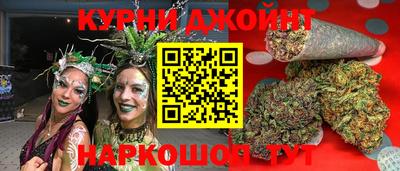 крисы Кулебаки