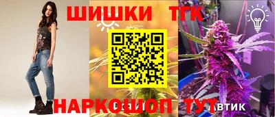 крисы Кулебаки