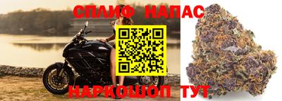 крисы Кулебаки