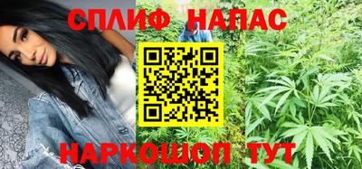 крисы Кулебаки