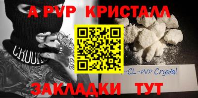 крисы Кулебаки