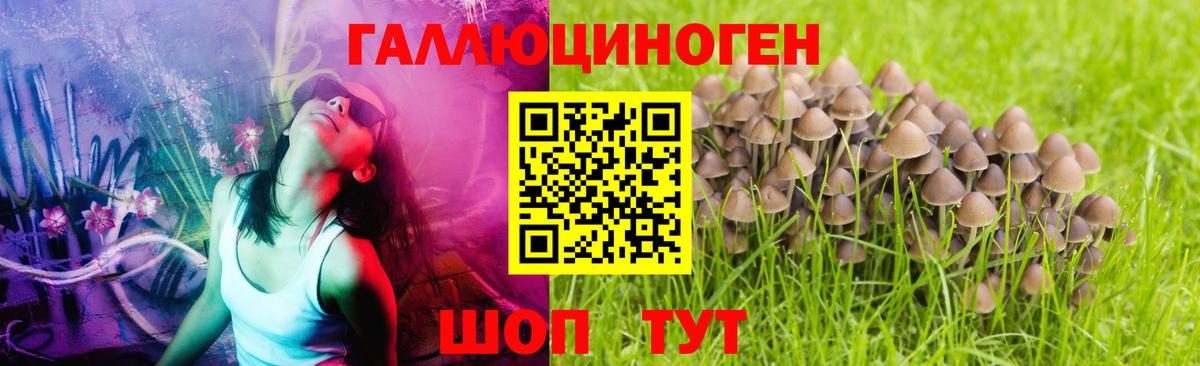 Галлюциногенные грибы GOLDEN TEACHER  Вход с VPN  Псилоцибиновые грибы Cubensis  Киров 